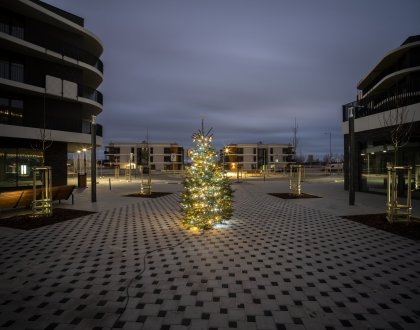 V Arcus City jsme rozsvítili vánoční strom